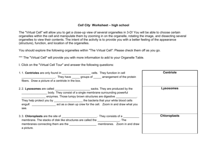 Cell city worksheet answers pdf