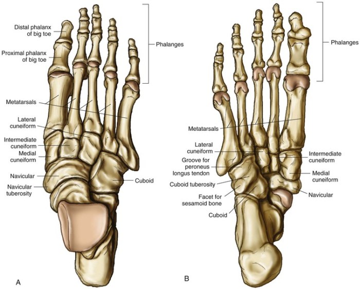 Reflexology