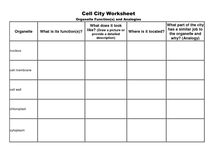 Cell city worksheet answers pdf