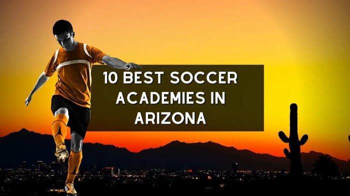 Soccer academies in spanish speaking countries are mainly geared towards