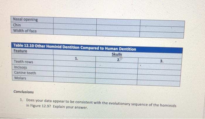 Match the primates with their correct upper jaw dental formula