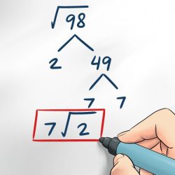 Roots squares root square perfect example positive definition principal math chart negative their grade maths below different education notes pythagorean