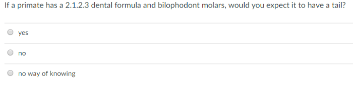 Match the primates with their correct upper jaw dental formula